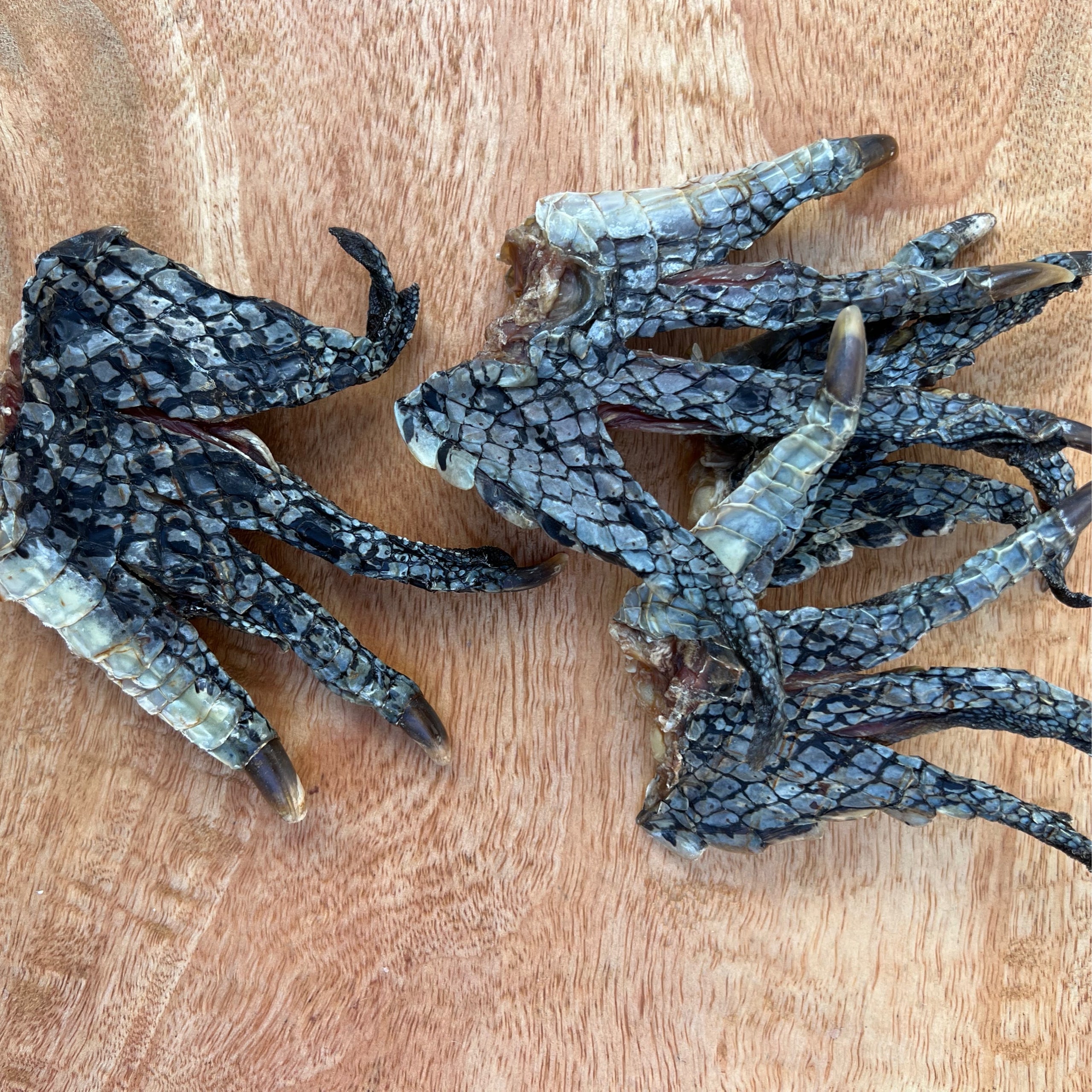 Crocodile feet | In My Belly - Pupcakes & Treats